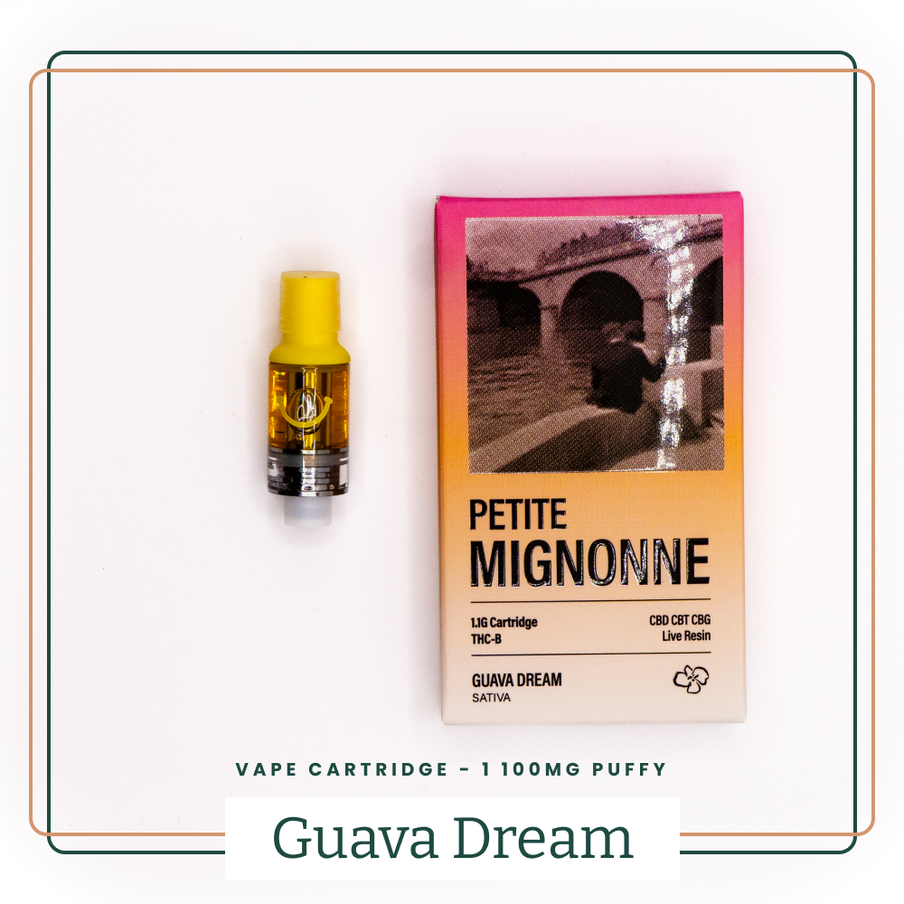 Guava Dream 🌬️ - La Cartouche de pen de chez Petite Mignonne