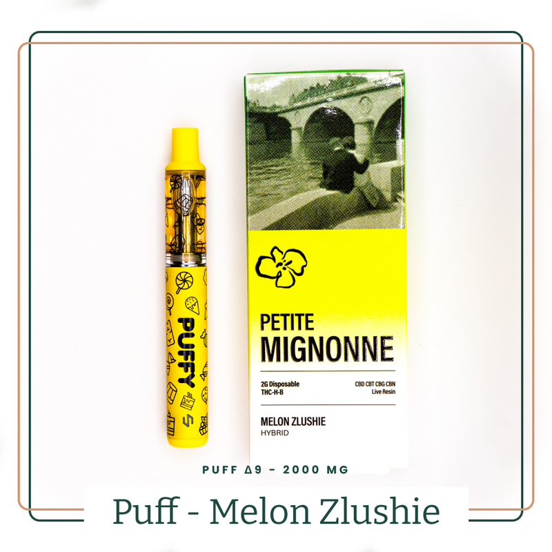 Puff Melon Zlushie Δ9